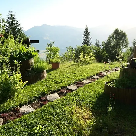 Des Chevreuils Verossaz